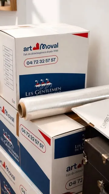 Publication Instagram art Moval
